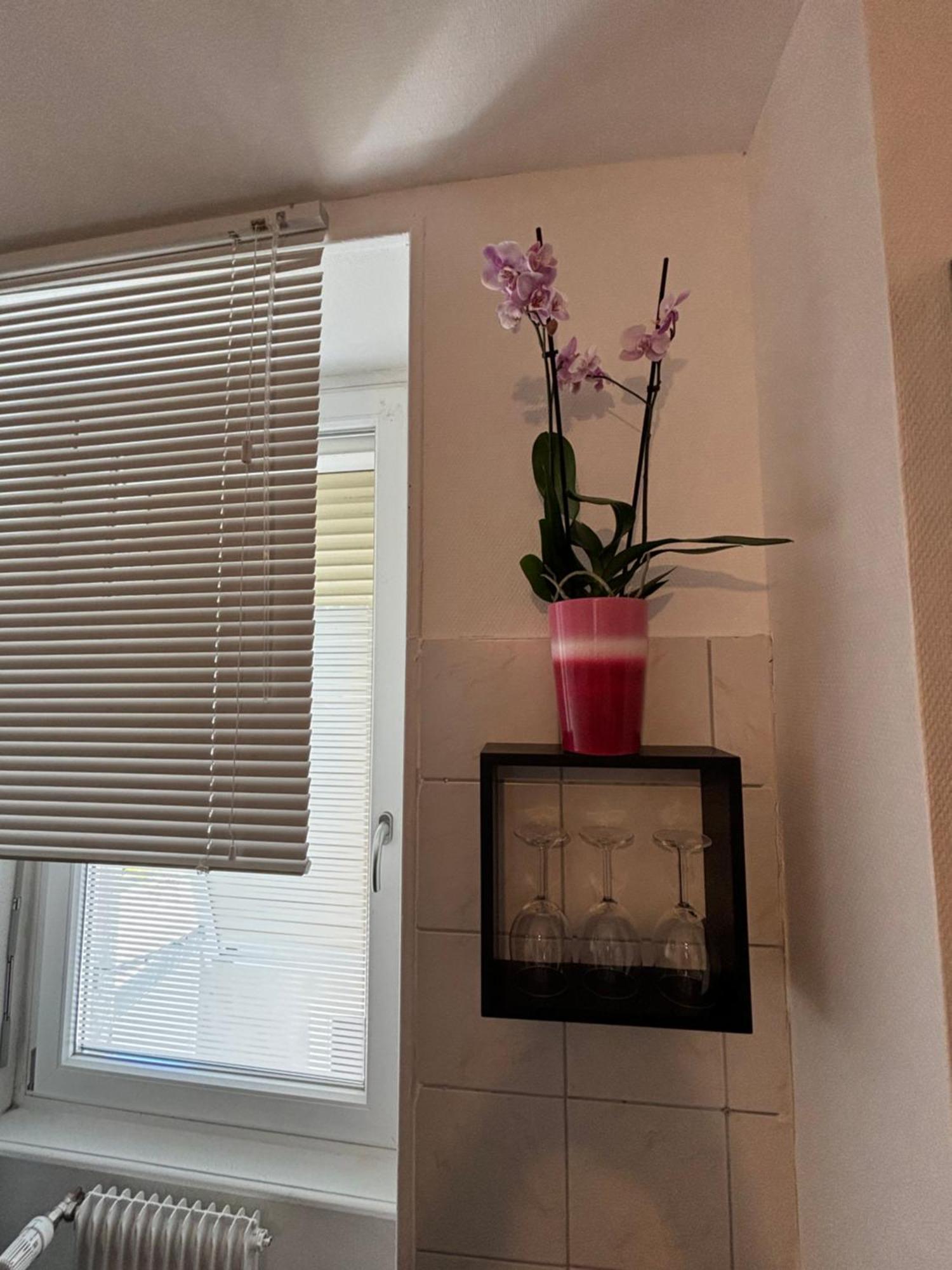 L Alsacienne F2 Centre Ville Mulhouse Luaran gambar